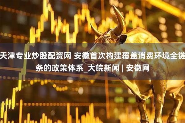 天津专业炒股配资网 安徽首次构建覆盖消费环境全链条的政策体系_大皖新闻 | 安徽网